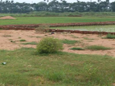 Image of 1000 Sq.ft Residential Plot / Land for sale in Benupur, Bhubaneswar for Rs. 2300000