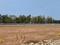 Madanapuram Main Image 1