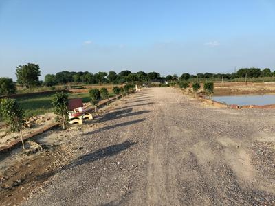 Residential Plot