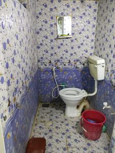 Bathroom Image of 517 Sq.ft 2 BHK Apartment / Flat for rent in Ghodasar Ahmedabad for Rs. 8000