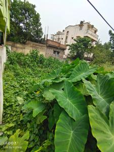 Image of 1734 Sq.ft Residential Plot / Land for sale in Malancha, Kharagpur for Rs. 2000000