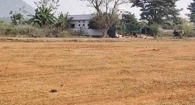 Desapathrunipalem Plot View 2