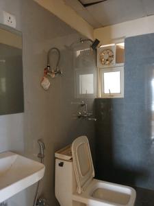 Common Bathroom Image of 1000 Sq.ft 3 BHK Apartment / Flat for sale in GLS South Avenue, Sector 92 Gurgaon for Rs. 6500000