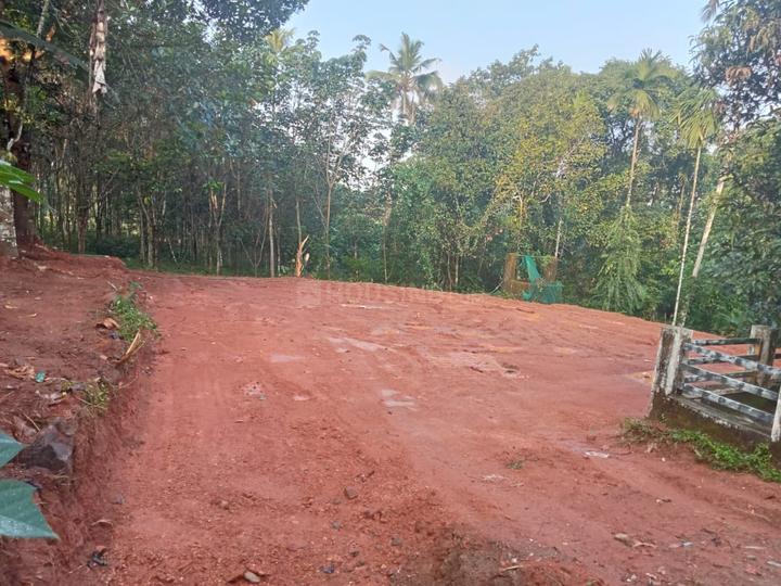 Marine Drive Main Image 1