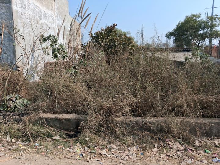 Sector 144 Plot View 1