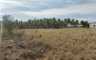 Image of 36580 Sq.ft Residential Plot / Land for sale in Kalapatti, Coimbatore for Rs. 168000000