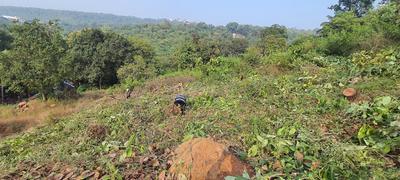 Image of 270 Sq.ft Residential Plot / Land for sale in Boma, Goa for Rs. 2430000