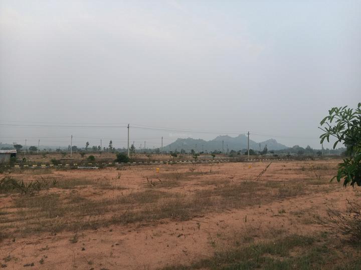 Fortune Butterfly City Main Image 1