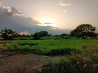Image of 1000 Sq.ft Residential Plot / Land for sale in Swarajya Plot In Belondakhar, Belondakhar, Navi Mumbai for Rs. 700000