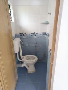 Image of 800 Sq.ft 2 BHK Apartment / Flat for rent in Kalyani, Nadia for Rs. 11000