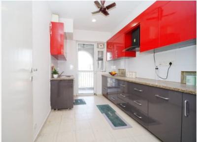 Kitchen Image of 1600 Sq.ft 3 BHK Apartment / Flat for sale in DLF Regal Gardens, Sector 90 Gurgaon for Rs. 22000000