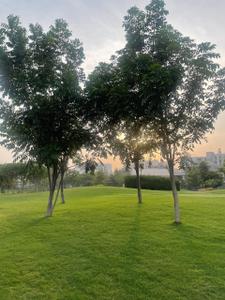 Image of 181 Sq.ft Residential Plot / Land for sale in Ace Acreville, Yeida, Greater Noida for Rs. 23500000