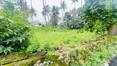 Image of 43560 Sq.ft Residential Plot / Land for sale in Aluva, Kochi for Rs. 65000000