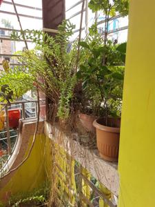 Balcony Image of 1200 Sq.ft 3 BHK Builder Floor for sale in Bijoygarh Kolkata for Rs. 4500000