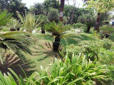 Image of 3300 Sq.ft Residential Plot / Land for sale in DLF Garden City, Mohanlalganj, Lucknow for Rs. 26400000