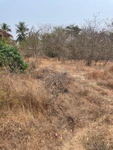 Image of 1100 Sq.ft Residential Plot / Land for sale in Panjim, Goa for Rs. 95000000