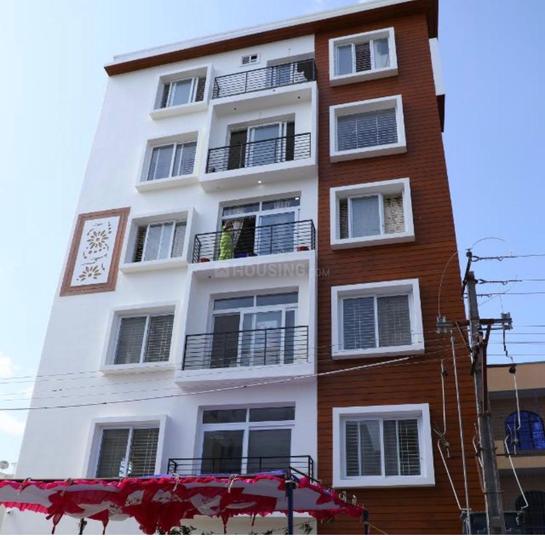 Avilala Main Image 1