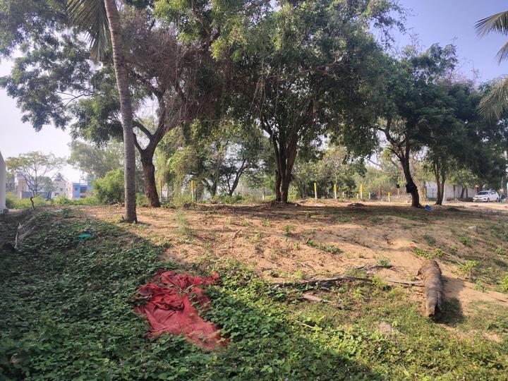 Kovalam Main Image 1