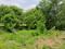 New Gotri Plot View 2