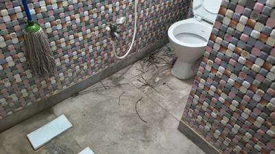 Image of 980 Sq.ft 2 BHK Apartment / Flat for rent in Keshtopur, Kolkata for Rs. 12500