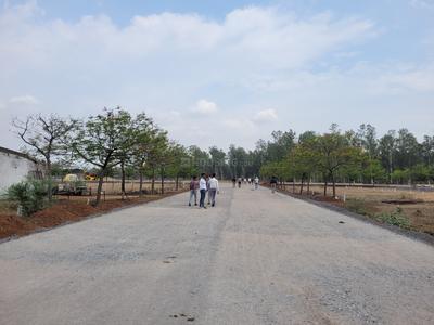 Image of 1000 Sq.ft Residential Plot / Land for sale in Aranya City Of Woodland, Pacheda 1, Raipur for Rs. 1000000