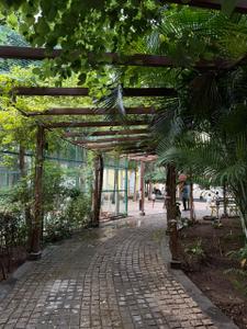 Image of 1150 Sq.ft 2 BHK Apartment / Flat for rent in Kingston Aura A B C D E And Apex, Handewadi, Pune for Rs. 19000