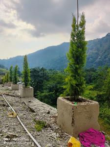 Image of 900 Sq.ft Residential Plot / Land for sale in Thano, Dehradun for Rs. 2500000