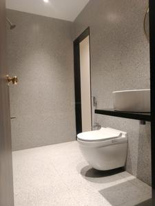 Common Bathroom Image of 1000 Sq.ft 2 BHK Apartment / Flat for sale in Metro Satyam Queens Necklace, Taloja Navi Mumbai for Rs. 8550000