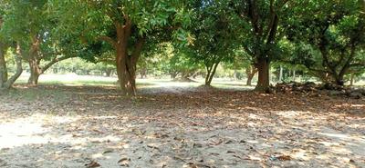 Image of 21600 Sq.ft Residential Plot / Land for sale in Panaiyur, Sholinganallur, Chennai for Rs. 200000000