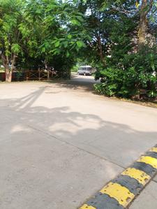 Image of 1400 Sq.ft Residential Plot / Land for sale in New Rani Bagh, Indore for Rs. 11500000
