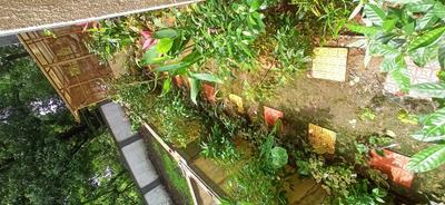 Image of 940 Sq.ft 2 BHK Apartment / Flat for sale in Kanpoli, Navi Mumbai for Rs. 4500000
