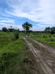 Wander Valley Internal Roads 2