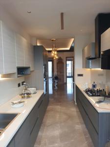 Kitchen Image of 2160 Sq.ft 4 BHK Builder Floor for sale in Palm Floor Ardee City, Sector 52 Gurgaon for Rs. 34500000