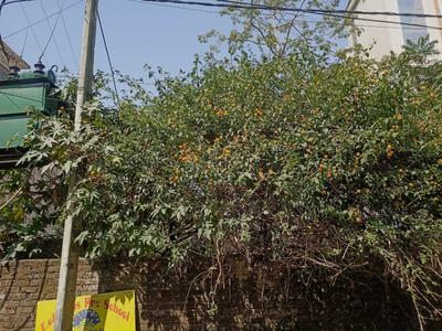 Rajpur Road Plot View 3