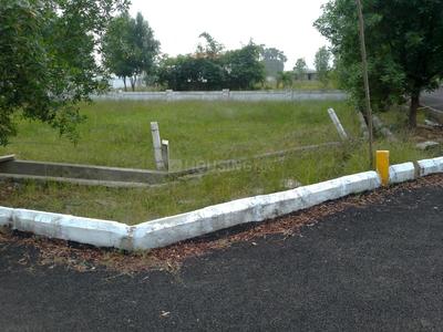 Kothavalasa Plot View 1