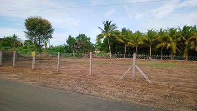 Image of 6426 Sq.ft Residential Plot / Land for sale in Tottanuthu, Dindigul for Rs. 8502000