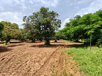 Image of 39300 Sq.ft Residential Plot / Land for sale in Kothapalle, Hyderabad for Rs. 60900000
