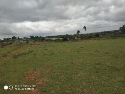 Image of 65000 Sq.ft Residential Plot / Land for sale in Magadi, Bengaluru for Rs. 180000000