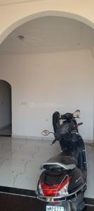 Living Room Image of 750 Sq.ft 2 BHK Apartment / Flat for rent in Maharajpura Gwalior for Rs. 6000