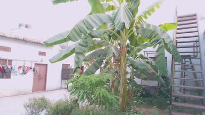Image of 2800 Sq.ft Residential Plot / Land for sale in Niwaru, Jaipur for Rs. 29745000