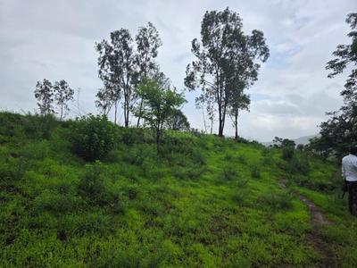 Image of 11000 Sq.ft Residential Plot / Land for sale in Bhor, Pune for Rs. 2100000
