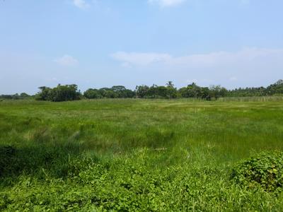 Residential Plot