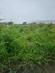 Image of 1264 Sq.ft Residential Plot / Land for sale in DLF Gardencity, Manglia, Indore for Rs. 5680000