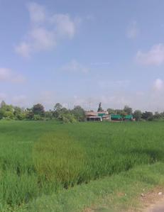 Image of 17424 Sq.ft Residential Plot / Land for sale in Virsad, Anand for Rs. 1600000