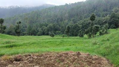 Image of 2700 Sq.ft Residential Plot / Land for sale in Haldwani, Nainital for Rs. 3500000