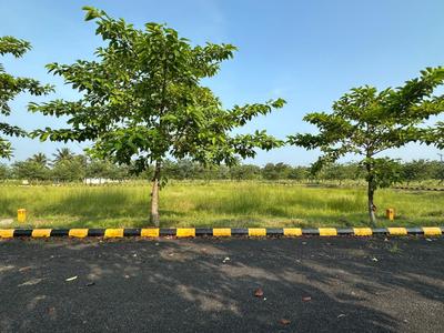 Image of 1800 Sq.ft Residential Plot / Land for sale in Sri Rajeswari Dwaraka, Bhogapuram, Visakhapatnam for Rs. 3600000