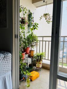 Balcony Image of 850 Sq.ft 2 BHK Apartment / Flat for rent in Mangalam Signature, Moshi Pune for Rs. 22000