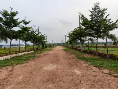 Image of 1741 Sq.ft Residential Plot / Land for sale in Krishna Vatika, Phulnakhara, Cuttack, Phulnakhara, Cuttack for Rs. 2100000