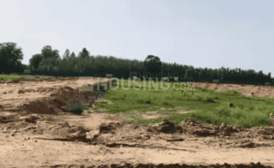 Image of 945 Sq.ft Residential Plot / Land for sale in Sector 123, Mohali for Rs. 8190000