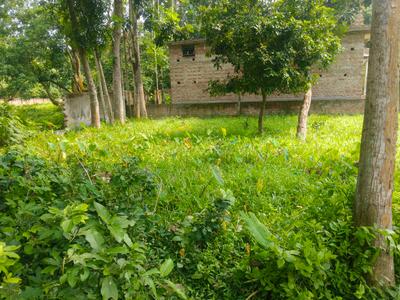 Image of 2880 Sq.ft Residential Plot / Land for sale in Krishnanagar, Nadia for Rs. 3000000
